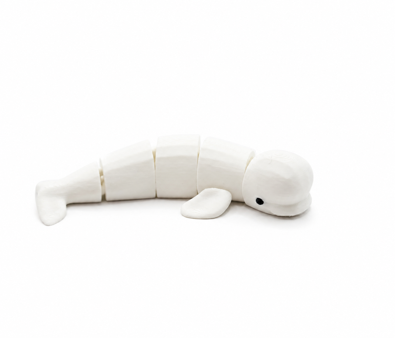 Beluga Whale