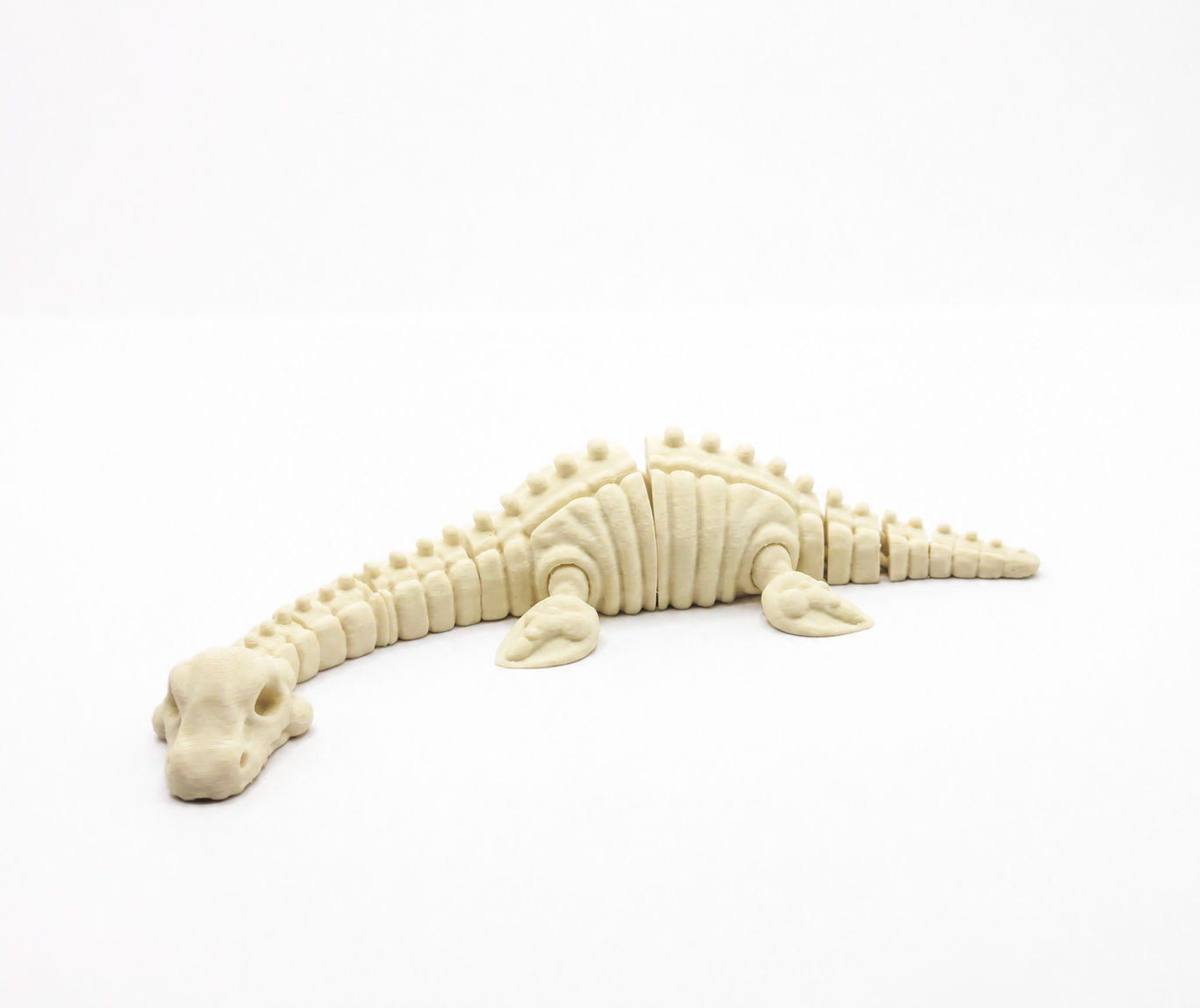 Plesiosaurus