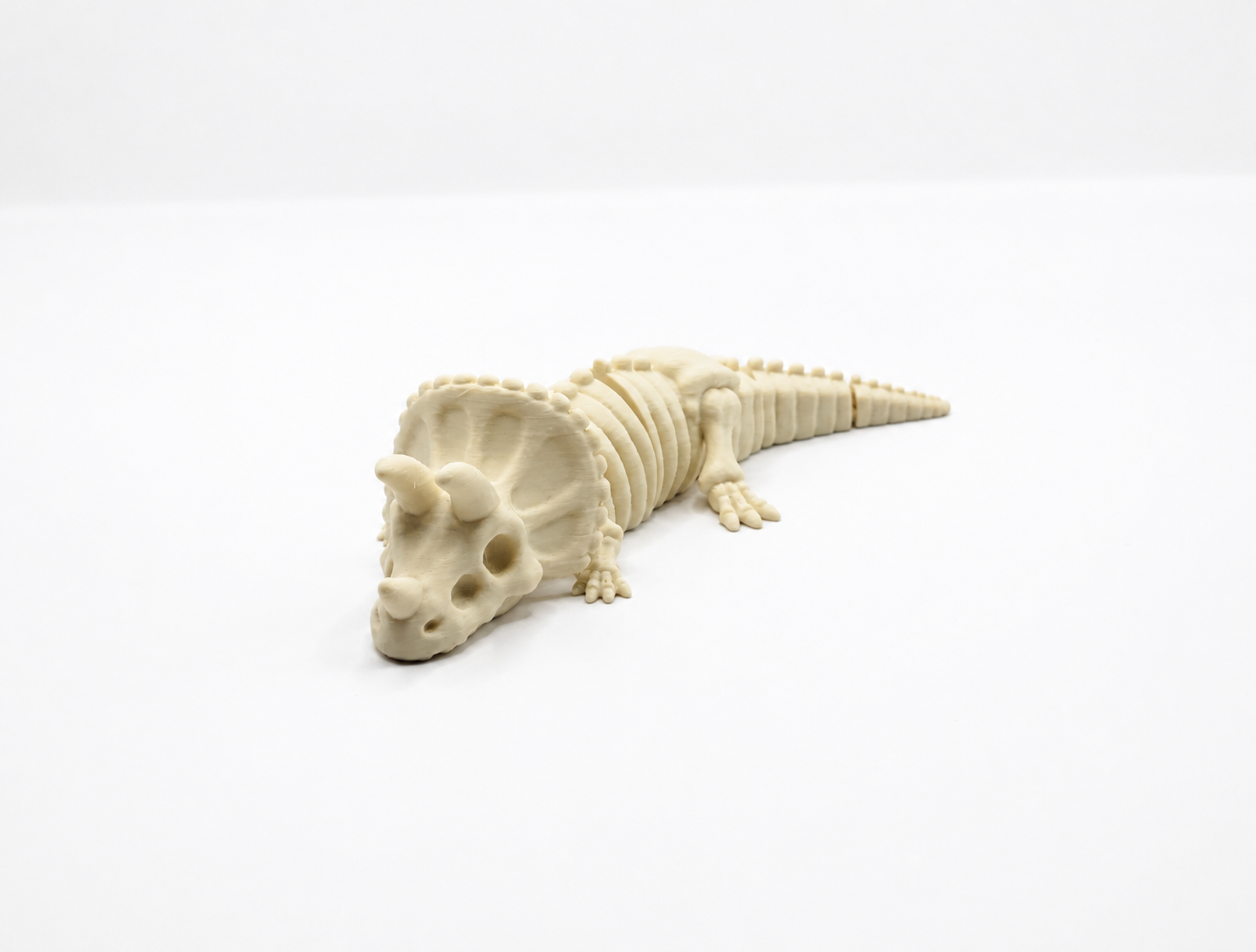 Triceratops